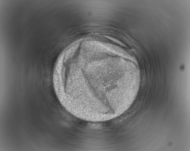 X0000116810469201001151147