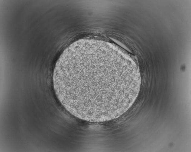 X0000116810470201001151147