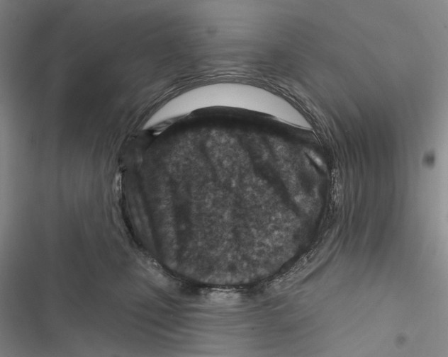 X0000116810471201001151147