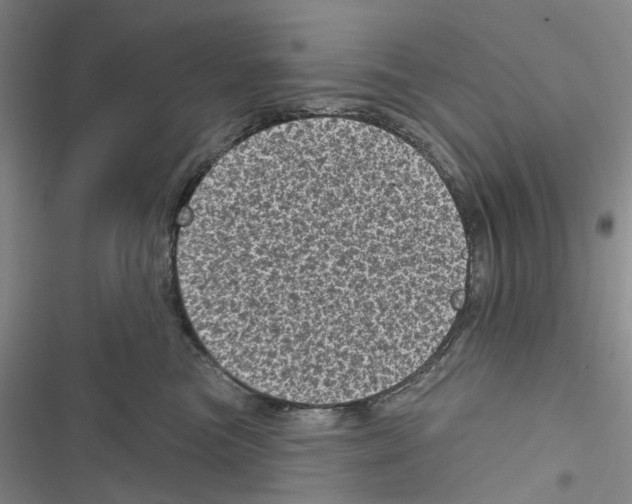 X0000116810473201001151147