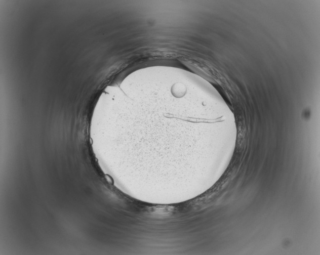 X0000116810474201001151147