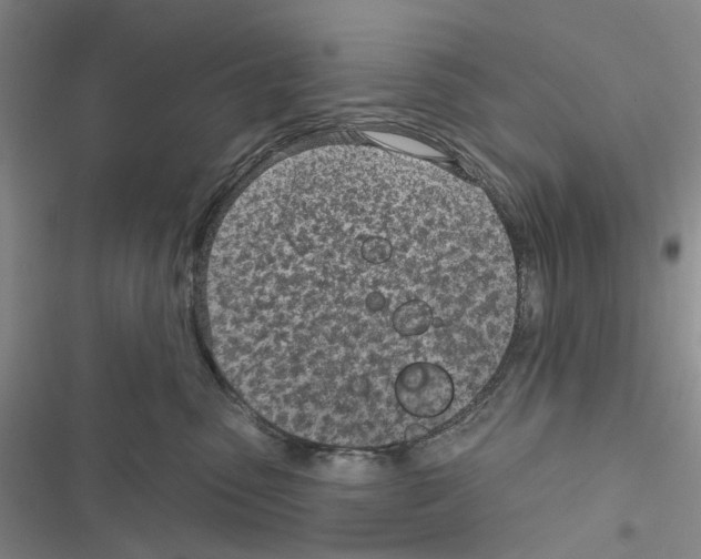 X0000116810475201001151147