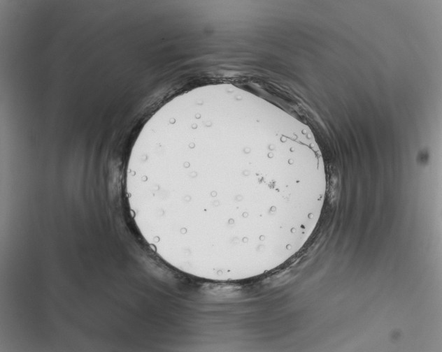 X0000116810476201001151147