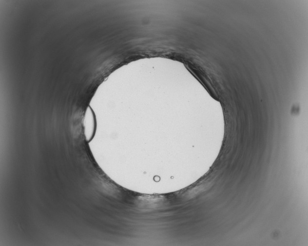 X0000116810480201001151147