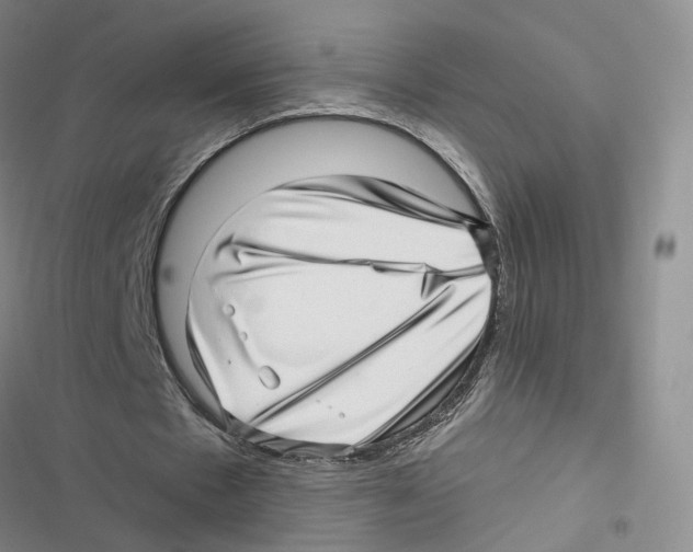X0000116810481201001151147