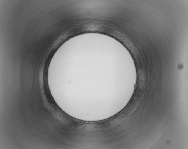 X0000116810482201001151147