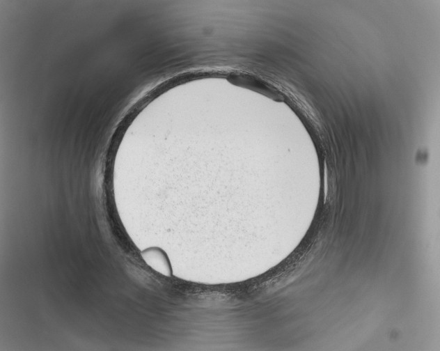 X0000116810483201001151147