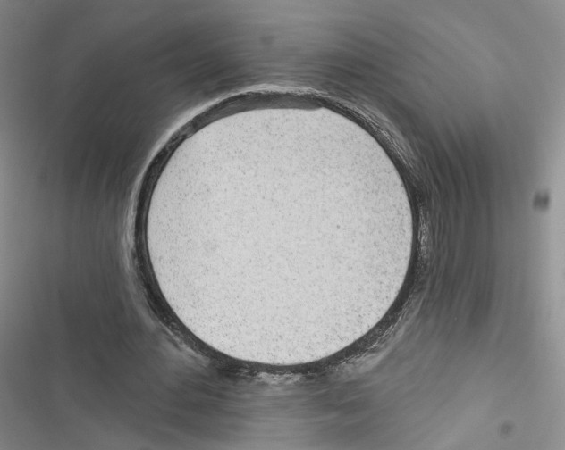 X0000116810484201001151147