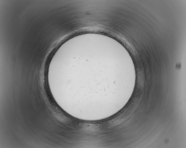 X0000116810486201001151147