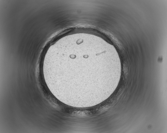 X0000116810488201001151147