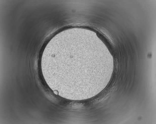 X0000116810491201001151147