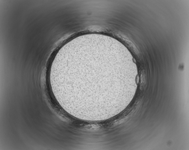 X0000116810492201001151147