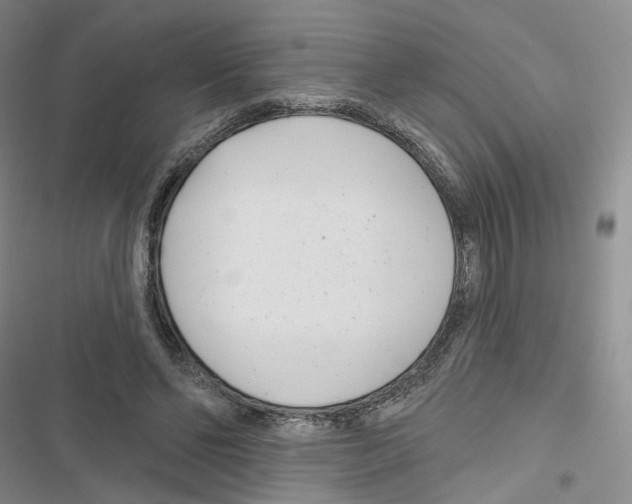 X0000116810494201001151147
