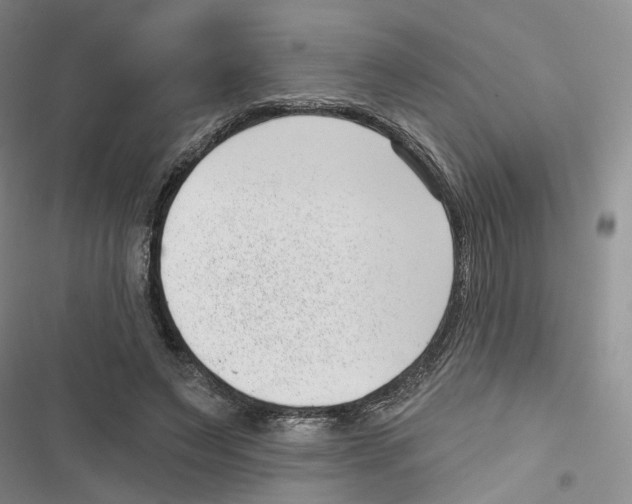 X0000116810495201001151147