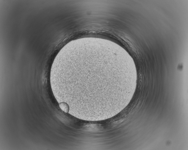 X0000116810499201001151147