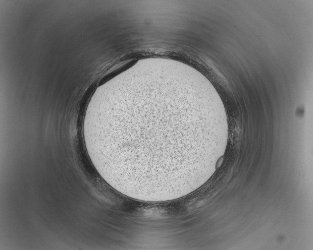 X0000116810500201001151147