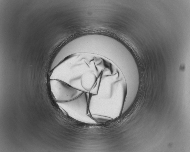 X0000116810501201001151147