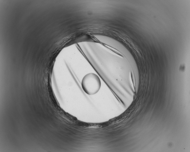 X0000116810505201001151146