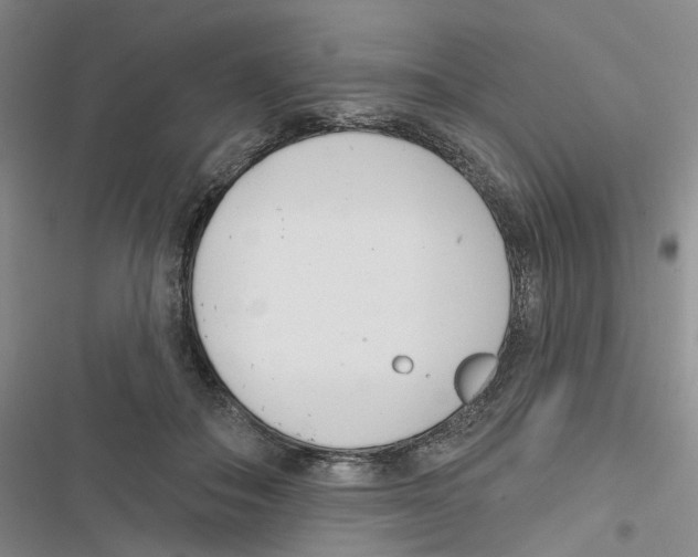X0000116810506201001151146