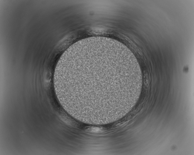 X0000116810507201001151146