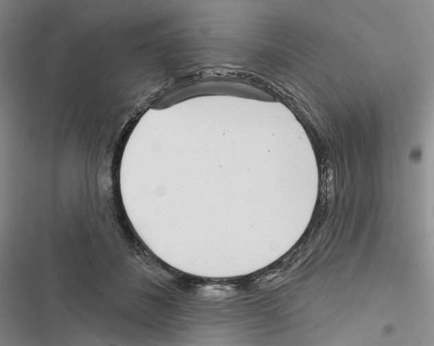 X0000116810508201001151146