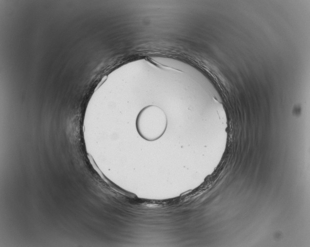 X0000116810509201001151146