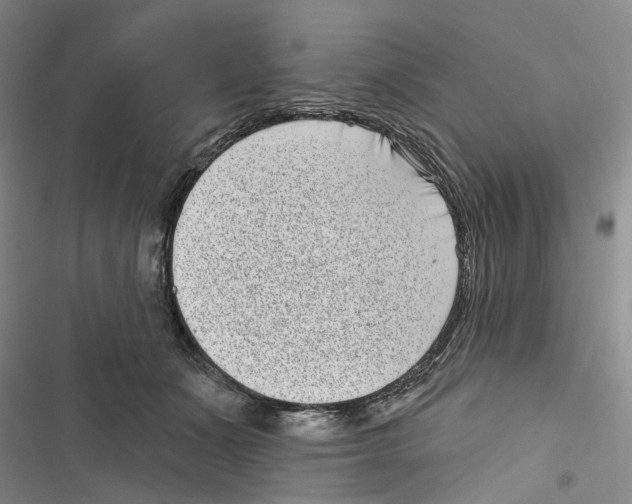 X0000116810511201001151146