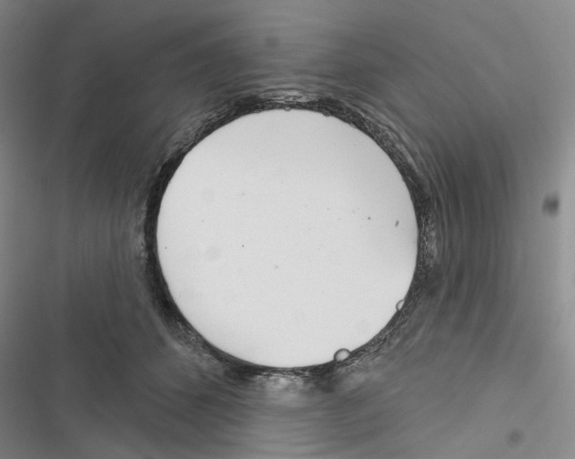 X0000116810512201001151146