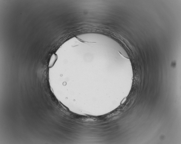 X0000116810513201001151146