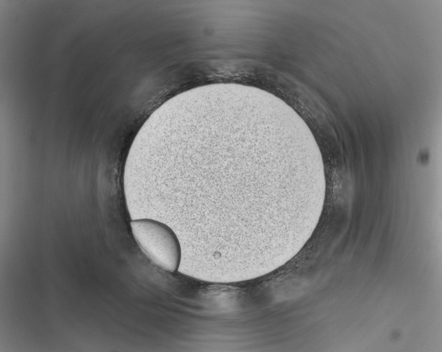X0000116810514201001151146