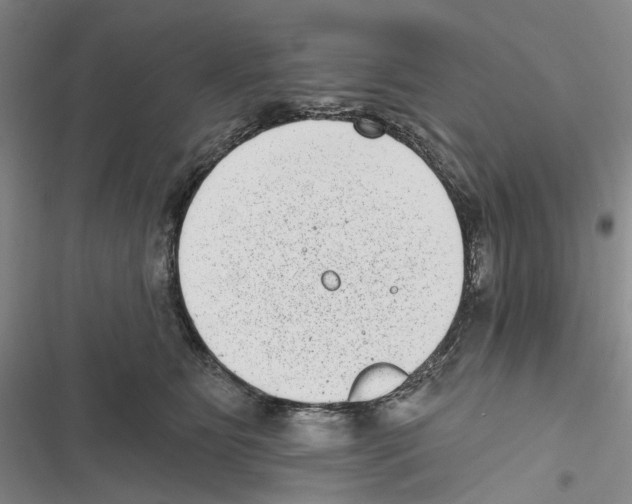 X0000116810515201001151146