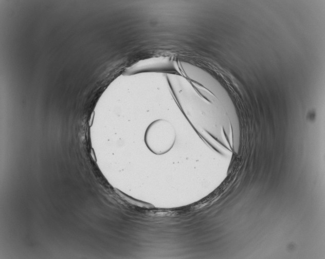 X0000116810517201001151146