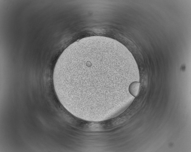 X0000116810518201001151146