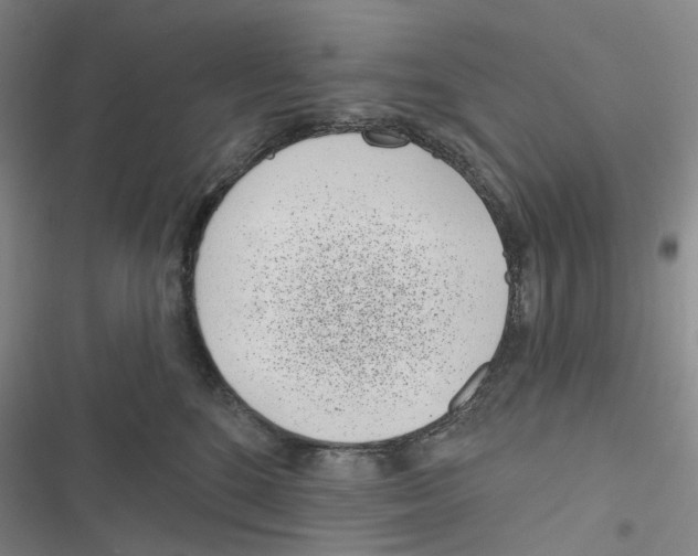 X0000116810520201001151146