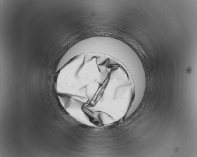 X0000116810521201001151146