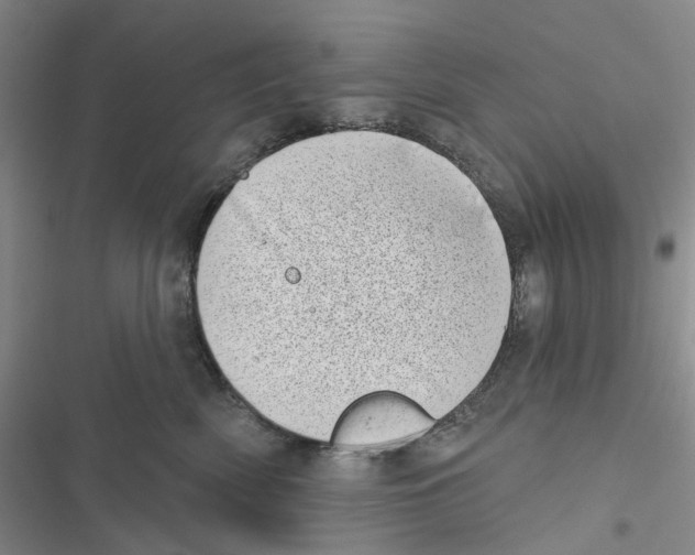 X0000116810522201001151146