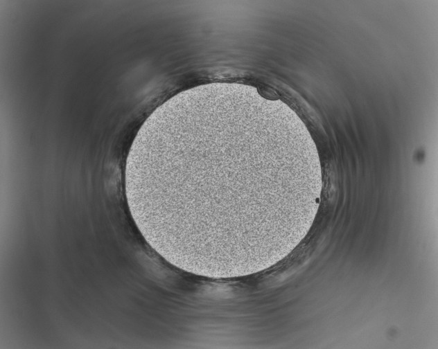 X0000116810523201001151146