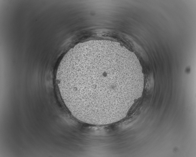 X0000116810524201001151146