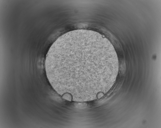 X0000116810525201001151146
