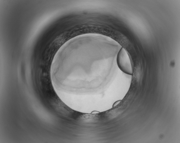 X0000116810526201001151146