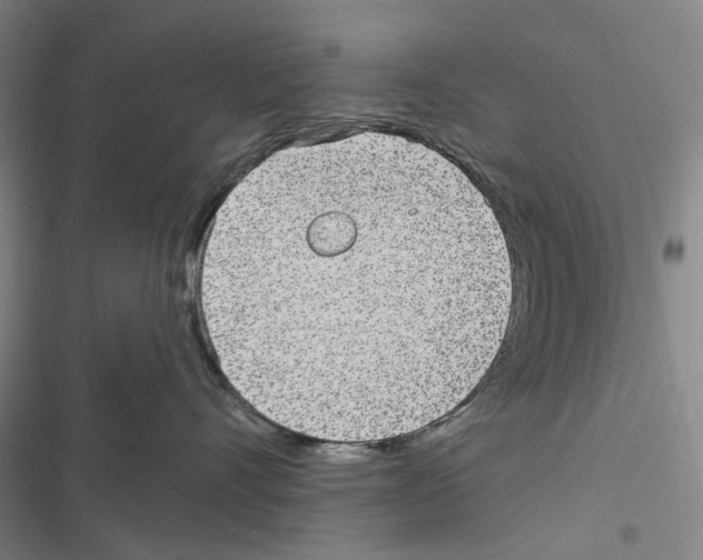 X0000116810528201001151146