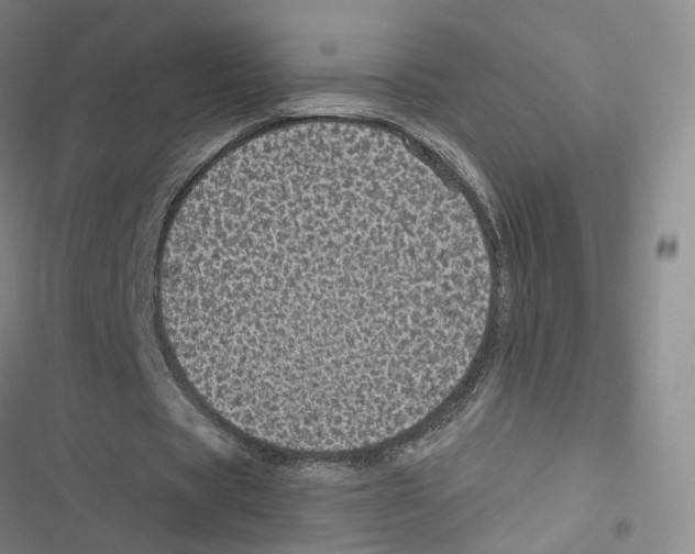 X0000116810529201001151145