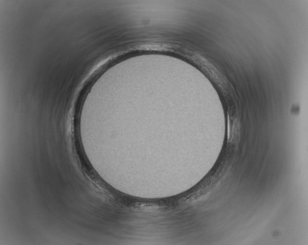 X0000116810531201001151146