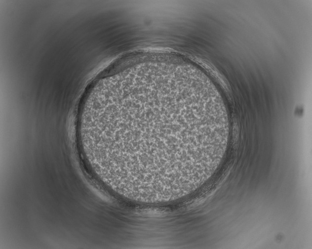 X0000116810533201001151146