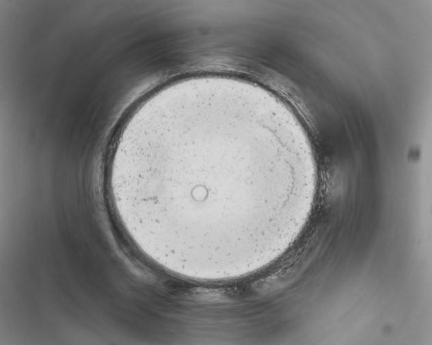 X0000116810534201001151146