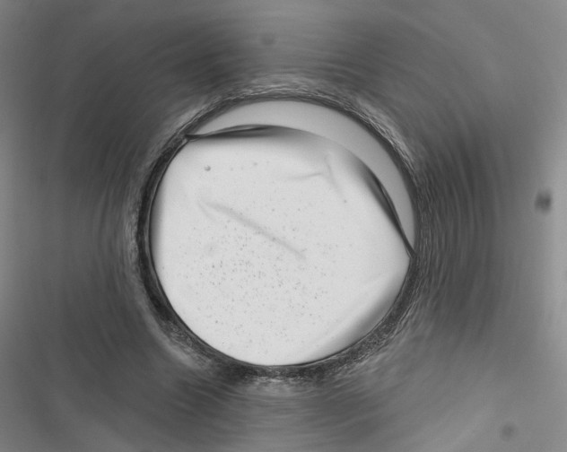 X0000116810538201001151146