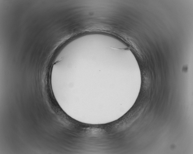 X0000116810539201001151146