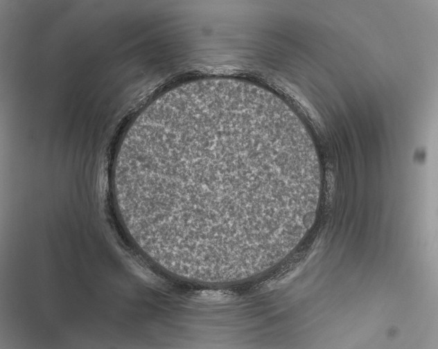 X0000116810541201001151146