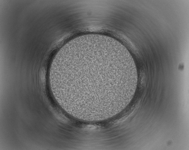 X0000116810542201001151146