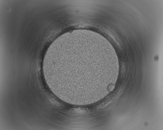 X0000116810545201001151146